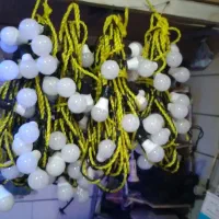 اجاره انواع ریسه عروسی و باند فلش خور