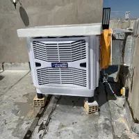 کولرسلولزی