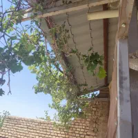 خانه ویلایی ، باغچه ( 30 درصد چک )|فروش خانه و ویلا|زبرخان, |دیوار