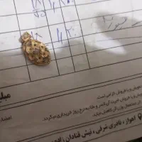 پلاک فیژون