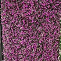 پخش چمن مصنوعی و فنس چمنی|خدمات پیشه و مهارت|بهبهان, |دیوار