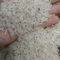 برنج فجر سوزنی|خوردنی و آشامیدنی|گرگان, |دیوار