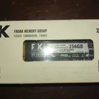 ssd fdk 256 nvme3.0