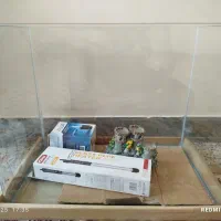 آکواریوم با وسایل کامل|ماهی|سامان, |دیوار