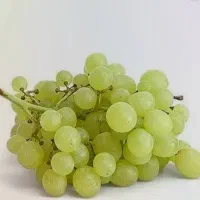 انگور کشمش