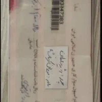 اسب نریون عرب|اسب و تجهیزات اسبسواری|دماوند, دماوند|دیوار