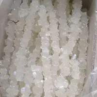 نبات چوبی کاوردار شاخه قند و  شکر|عمده‌فروشی|تهران, نظام‌آباد|دیوار