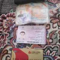 پیداشده