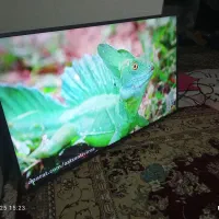 ال ای دی ۴۹اینچ هوریون در حد آکبند|تلویزیون و پروژکتور|گرگان, |دیوار