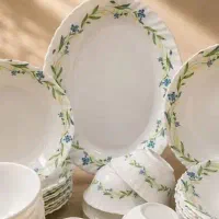 دو دست ترشی خوری وکیوم و یک عدد دیس