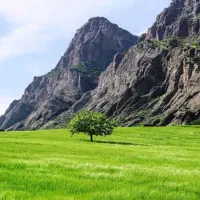 طبیعت
