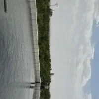 فروش-باغ-4-5-هکتاری