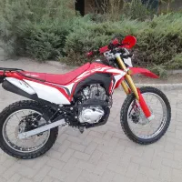 تریل باسل ۲۵۰