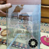 اکواریوم|ماهی|پاکدشت, پاکدشت (مامازند)|دیوار