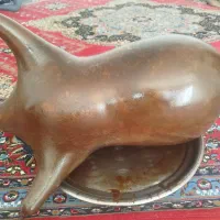 هیزع گوسفندی