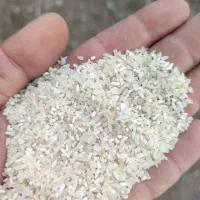 لاشه فجر سوزنی ۹۰روزه معطر و نیم دانه