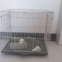 قفس پرنده با لوازم و کاور