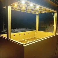 گاوصندوق زبانه بالاپاین