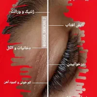 فیشال صورت بانوان و آقایان محترم و فیشال بادی