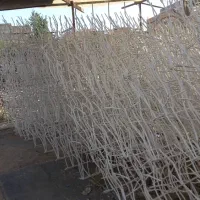نرده روی دیوار شاخ گوزنی