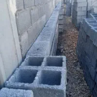 جویای کار