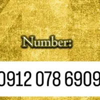 09120786909