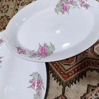 دیس گلسرخی|ظروف سرو و پذیرایی|اسلامشهر, باغ فیض|دیوار
