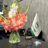 بیمه ثالث اقساطی بدون چک و سفته