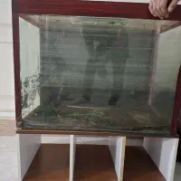 اکواریوم سالم