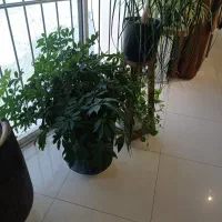 میز نهارخوری
