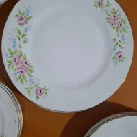 آکروپال گل سرخ لب طلایی|ظروف سرو و پذیرایی|زنجان, |دیوار