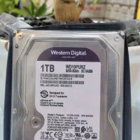 هارد وسترن بنفش