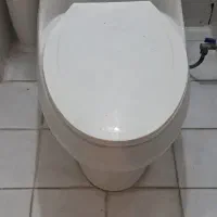 توالت فرنکی