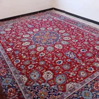 قالی ۱۲متری|فرش|مریوان, |دیوار