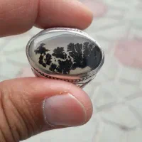شجرقائن شفاف وزیبا