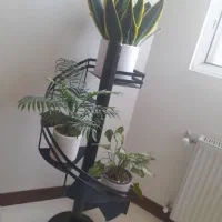 استند گل مدل پله پیچ آهنی