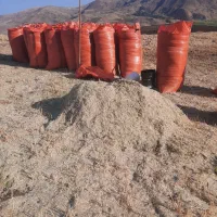 کاه (سامان) جو قاطی علف