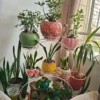 استند|صنایع دستی و سایر لوازم تزئینی|قم, نیروگاه|دیوار