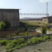 استخدام کارگر مرغداری