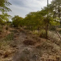 باغچه ۴۰۰ متری|فروش زمین و ملک کلنگی|باقرشهر, |دیوار