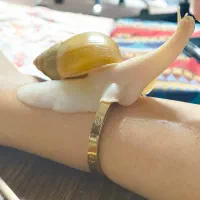 حیوان خانگی حلزون آچاتینا