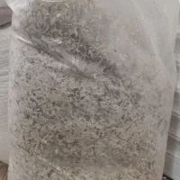 تفاله چغندر|لوازم جانبی حیوانات|مرودشت, بیست متری بیمارستان|دیوار