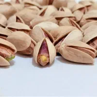 استخدام ویزیتور و بازاریاب در مرودشت