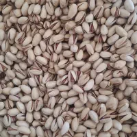 58-هکتار-باغ-پسته-و-زمین-زراعی