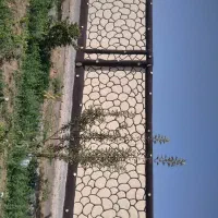 سیمان کار رم