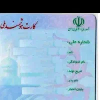 کارت ملی به نام ساسان + گواهینامه و کیف گمشده
