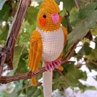 عروسک عروس هلندی|اسباببازی بچه|یزد, |دیوار