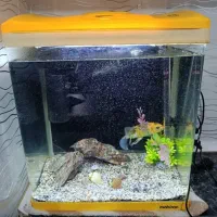 آکواریوم ماهیران