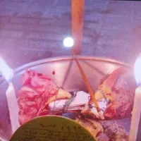 طالع بینی سرکتاب اعدیه