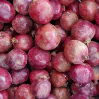 انار ساوه|خوردنی و آشامیدنی|قم, تولید دارو و یخچال|دیوار